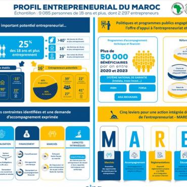 Profil entrepreneurial du Maroc